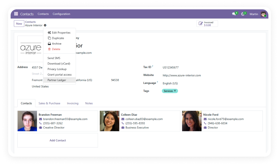 Odoo Partner Ledger Report